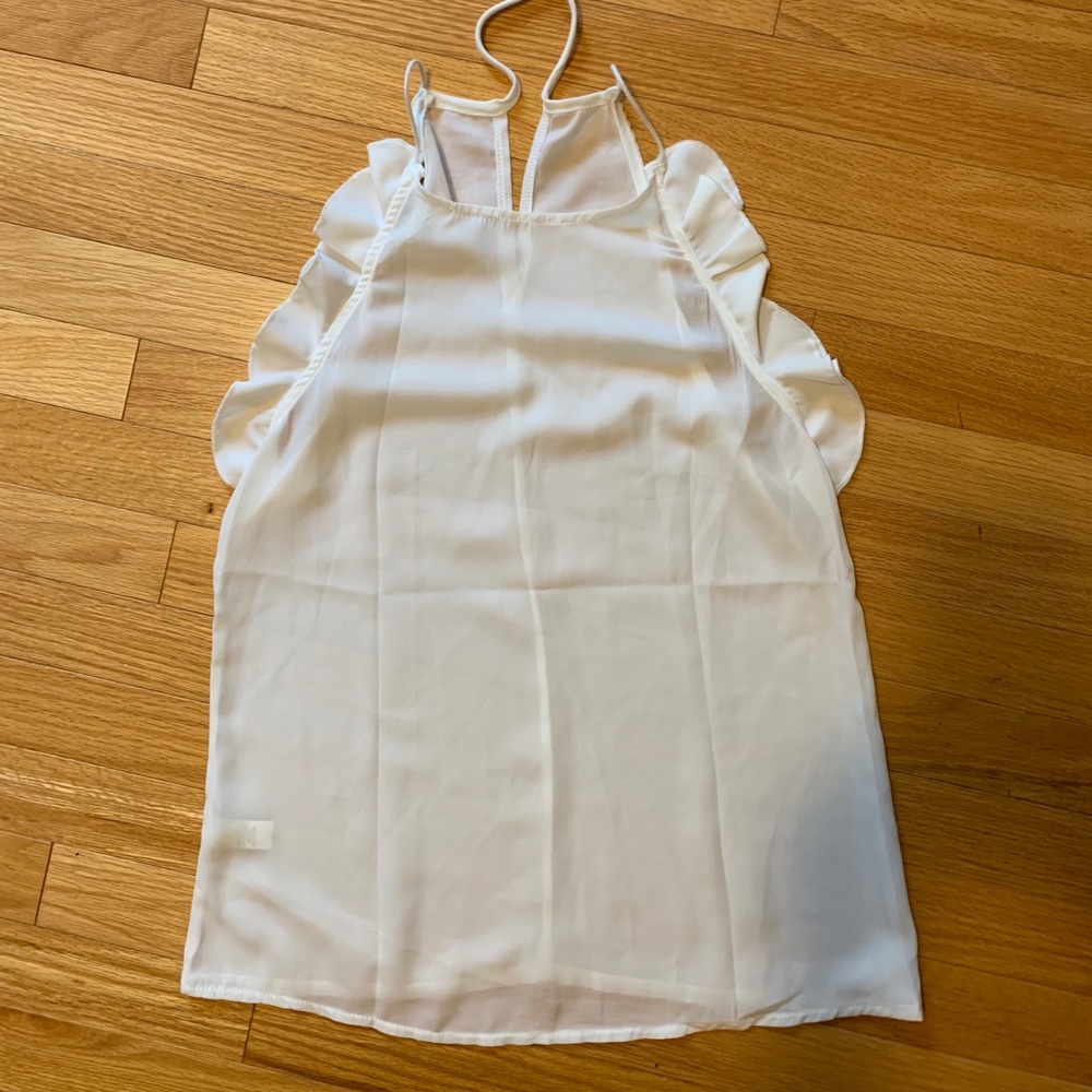 Sheer Ruffled Blouse NWOT